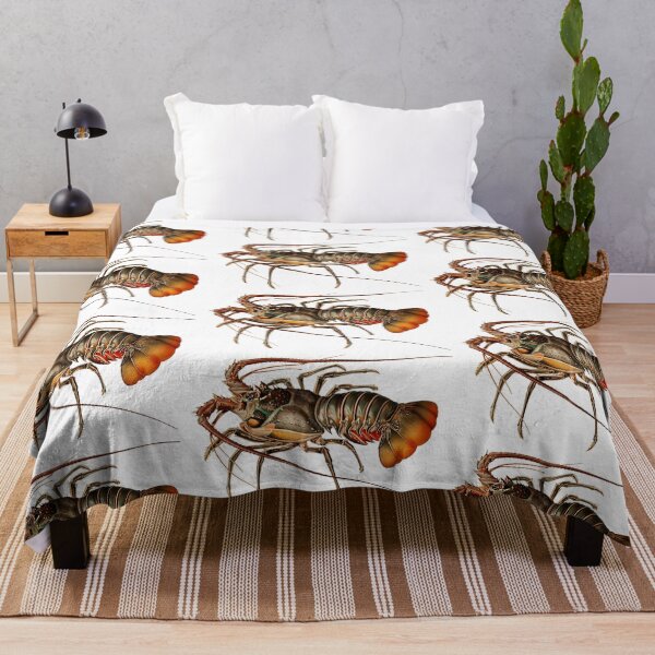 Item preview, Vintage crayfish illustration - Panulirus regius designed and sold by Flamin' Galah.