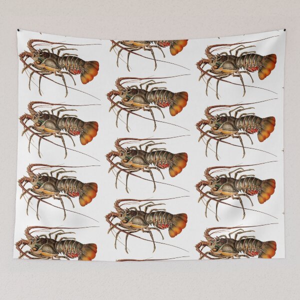 Item preview, Vintage crayfish illustration - Panulirus regius designed and sold by Flamin' Galah.