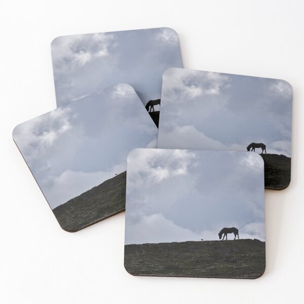 Item preview, Curious Icelandic foal follows a bird designed and sold by elisainiceland.