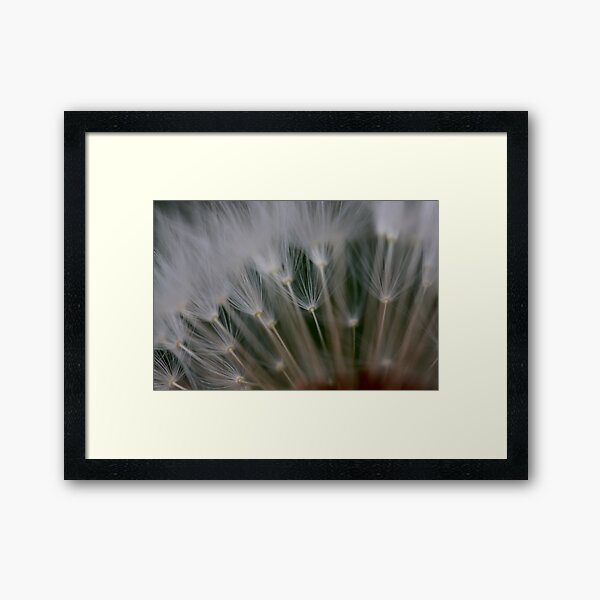dandelion's secret 2 Framed Art Print
