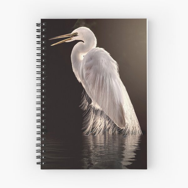 Item preview, Egret in the shade designed and sold by Brian Tarr.