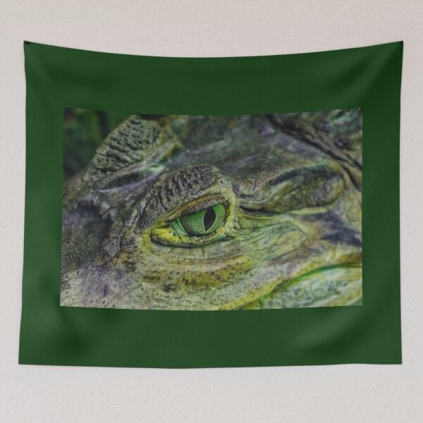 Item preview, spectacled caiman eye designed and sold by Martin Leber.