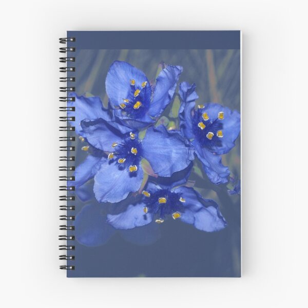 Artikelvorschau, Blue beauties on clear background tee entworfen und verkauft von B. Randi Bailey.