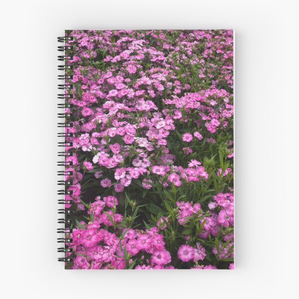 Item preview, Telstar Pink flowers designed and sold by Allen Penton.