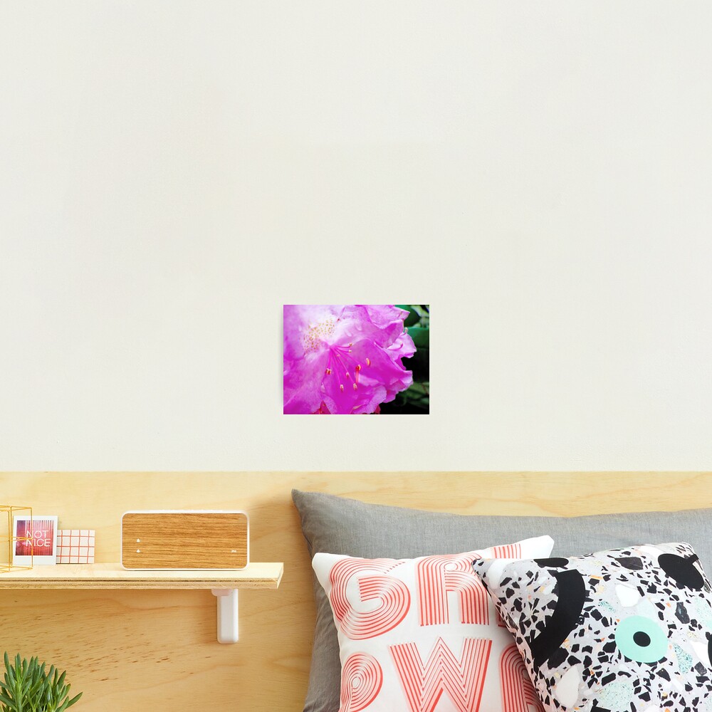 Item preview, Photographic Print designed and sold by OutdoorAddix.