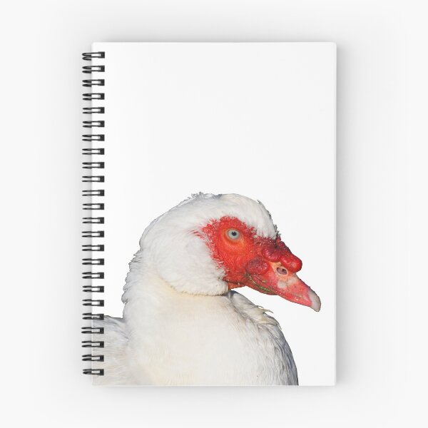 Item preview, Muscovy Duck Cutout designed and sold by Jason Gilbert.