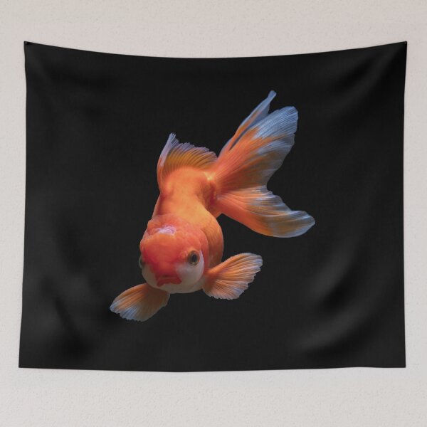 Item preview, fish / clown fish / clownfish / beautiful fish picture designed and sold by Man Of Pixels.