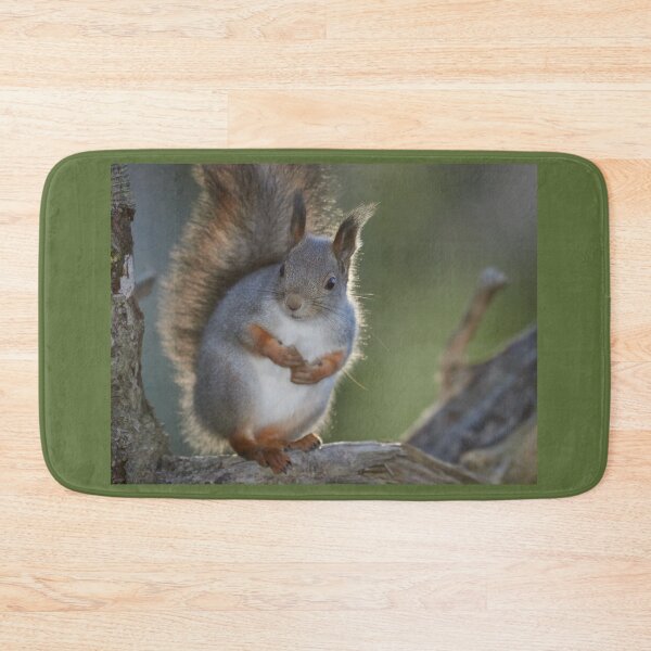 Item preview, At Your  service sir. Eurasian red squirrel designed and sold by Jouko Lehto Photography.