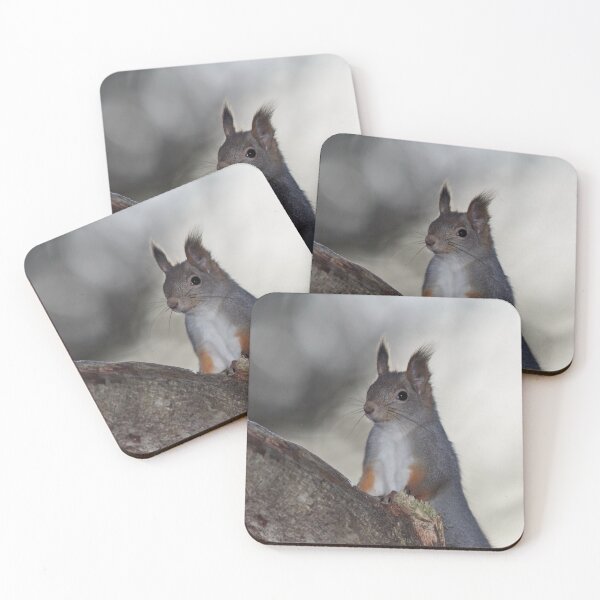 Item preview, Dualistic light. Eurasian red squirrel designed and sold by Jouko Lehto Photography.