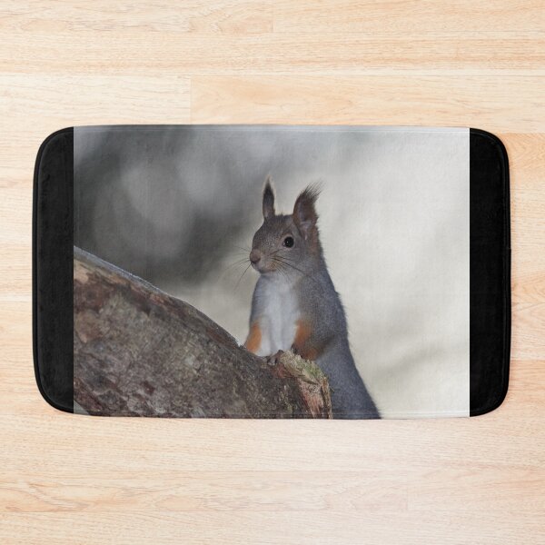 Item preview, Dualistic light. Eurasian red squirrel designed and sold by Jouko Lehto Photography.