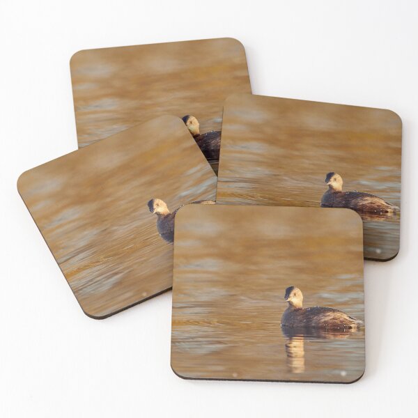 Item preview, Little grebe in golden reflections designed and sold by Jouko Lehto Photography.
