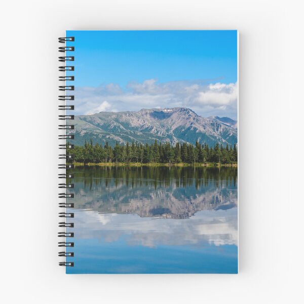 Item preview, Alaska Mountains in Denali Park designed and sold by Tim Thompson.