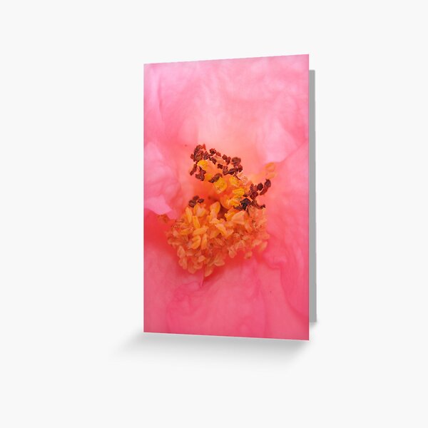 The Inner Workings of a Rose Greeting Card