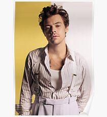 Harry In Portrait 2 Poster