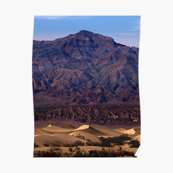 Mesquite and Mnt. Palmer Poster