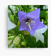 Bee-autiful flowers Canvas Print