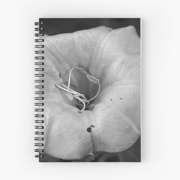 Item preview, Datura designed and sold by Karl Eschenbach.