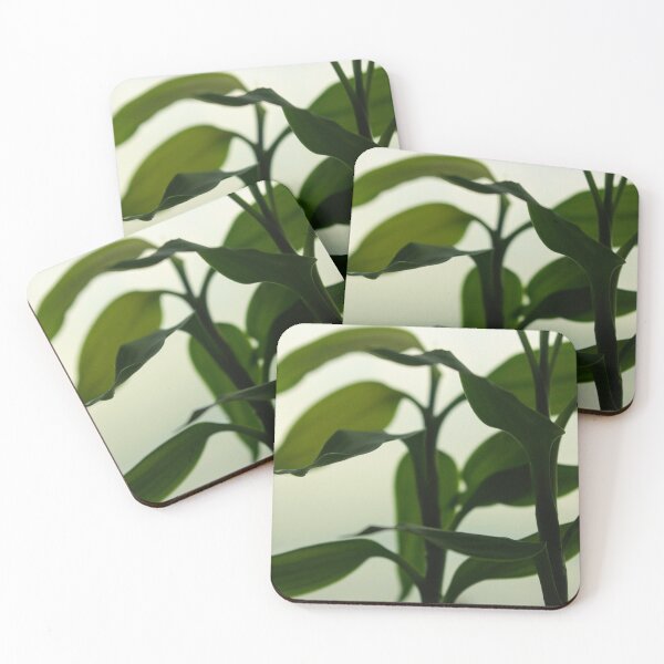 Item preview, Beautiful plant in the sunlight designed and sold by DHSTN.