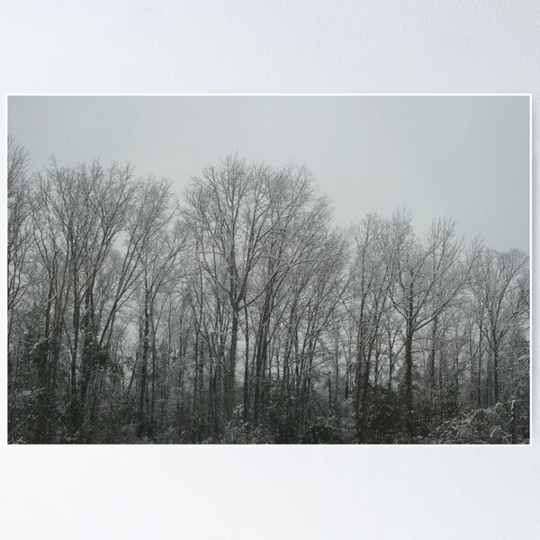 Item preview, Snow Trees designed and sold by Denise N Young.