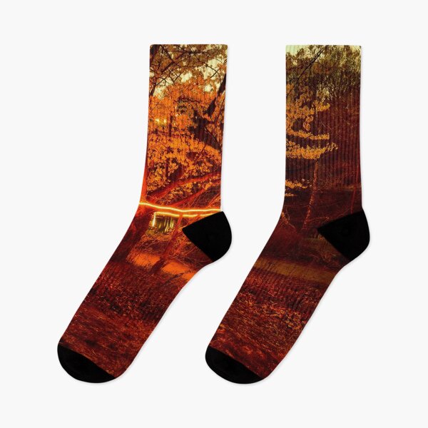 Item preview, Night Painting, Toronto High Park designed and sold by dombhai.