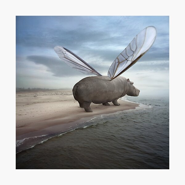 Fly away Photographic Print