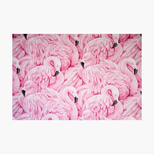 Pink Flamingo Art Photographic Print