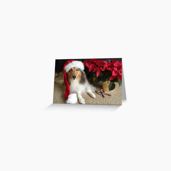 Item preview, Merry Christmas Collie designed and sold by Jan  Wall.