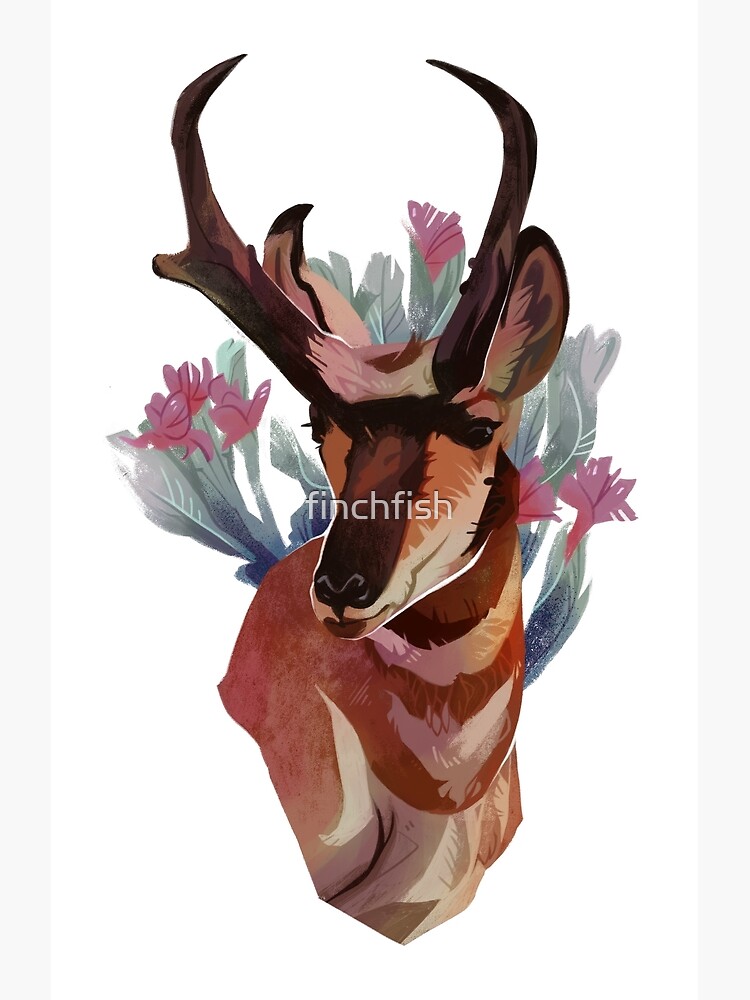 Pronghorn by finchfish
