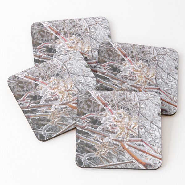 Item preview, Ramas cubiertas de hielo, fotografía invernal de Courtney Hatcher designed and sold by cghatcherart.