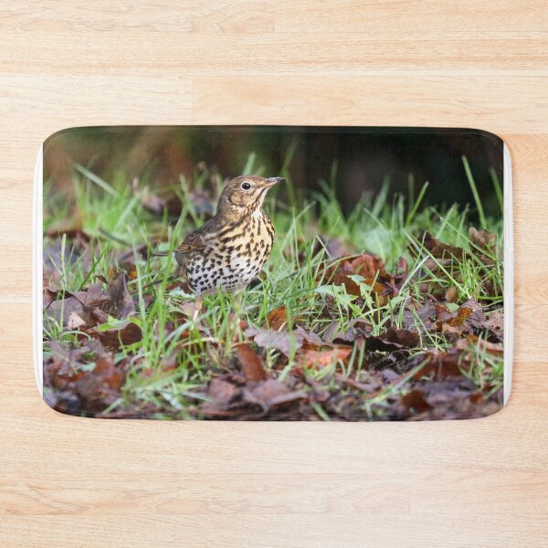 Item preview, Song thrush in leaf litter designed and sold by GreyFeatherPhot.