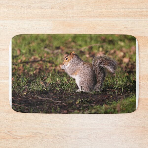 Item preview, Squirrel collecting nuts designed and sold by GreyFeatherPhot.