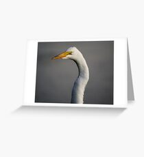 Great White Egret Greeting Card