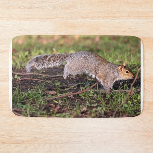 Item preview, Leaping squirrel designed and sold by GreyFeatherPhot.