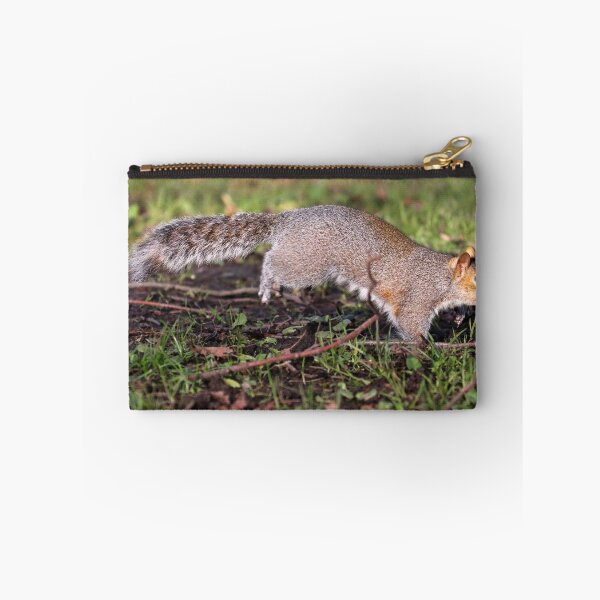 Item preview, Leaping squirrel designed and sold by GreyFeatherPhot.