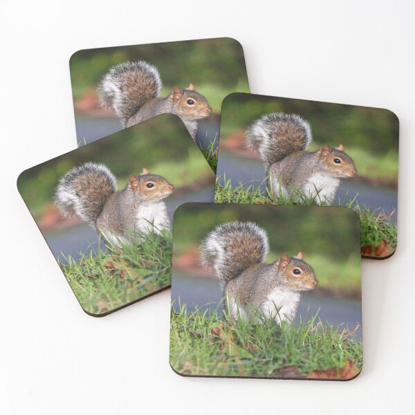 Item preview, Grey squirrel designed and sold by GreyFeatherPhot.