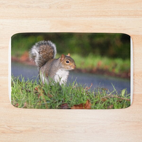 Item preview, Grey squirrel designed and sold by GreyFeatherPhot.
