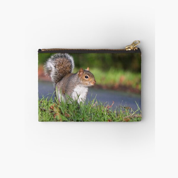 Item preview, Grey squirrel designed and sold by GreyFeatherPhot.