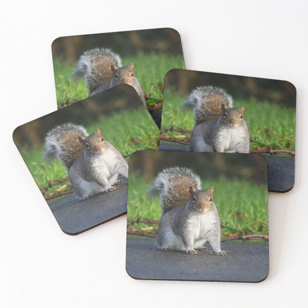 Item preview, What are you looking at? designed and sold by GreyFeatherPhot.