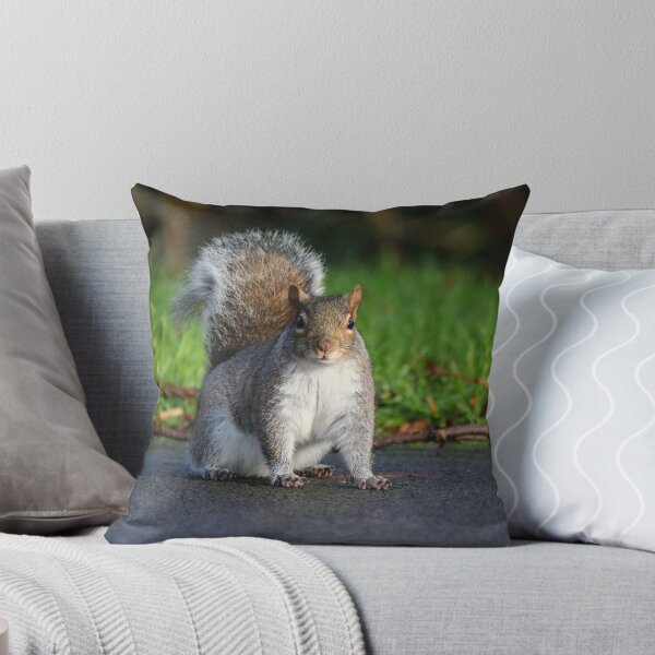 Item preview, What are you looking at? designed and sold by GreyFeatherPhot.