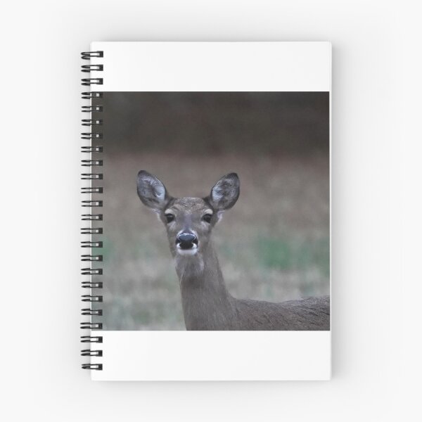 Item preview, Deer at Dusk designed and sold by Harrisonphoto.