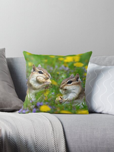 Item preview, Chipmunks Eating Peanuts designed and sold by Christina Rollo.