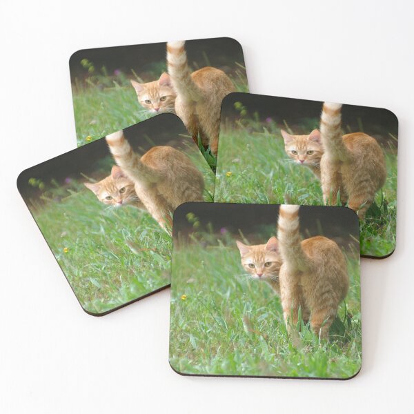 Item preview, Buddy designed and sold by STGEEVES.