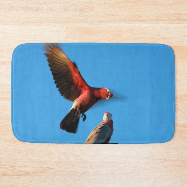 Item preview, Flaming Galahs designed and sold by STGEEVES.