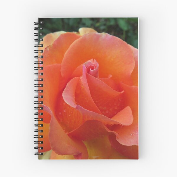 Item preview, Rainy Day Rose 3 designed and sold by RichTraulsen.