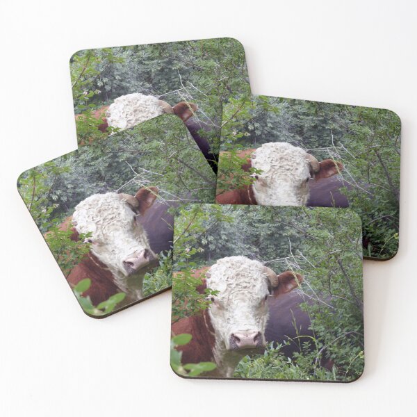 Item preview, Cow Bull looking into your eyes foraging beautiful animal designed and sold by SumoShark.