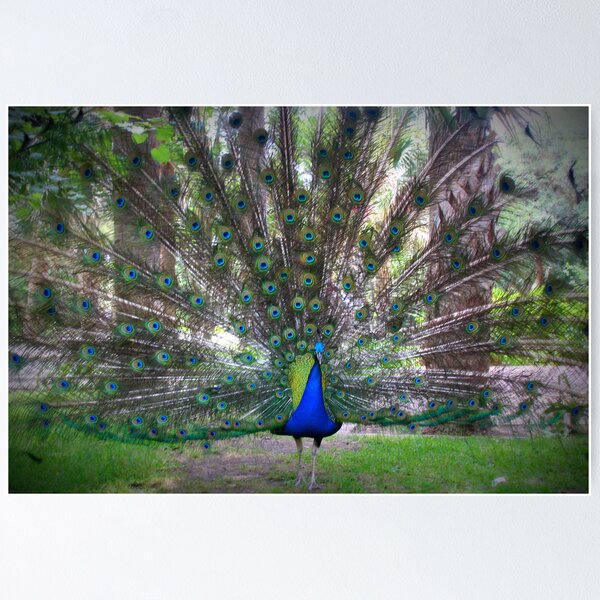 Item preview, Make room for love. designed and sold by luckylarue.