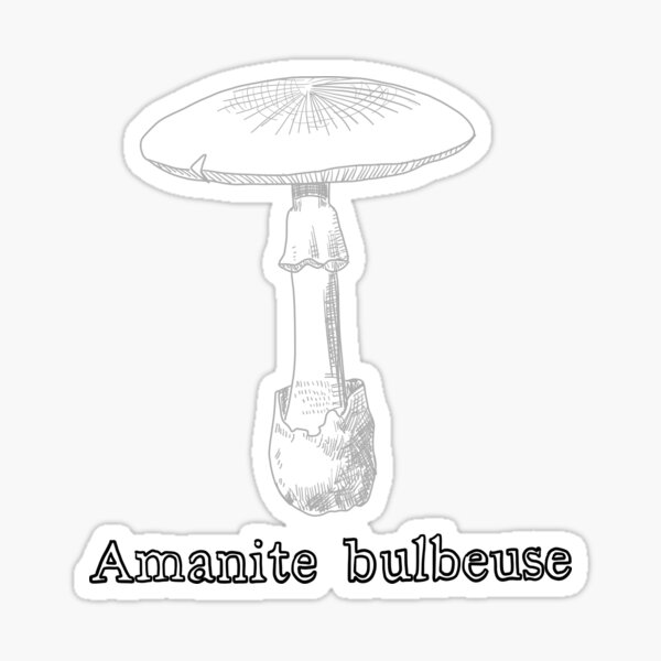 Item preview, Mushrooms Amanite Bulbeuse Grey  designed and sold by shtem.