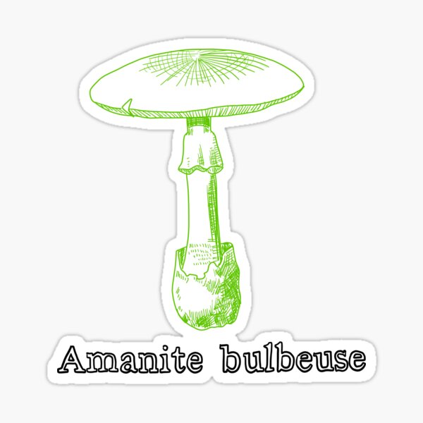 Item preview, Mushrooms Amanite Bulbeuse Green  designed and sold by shtem.