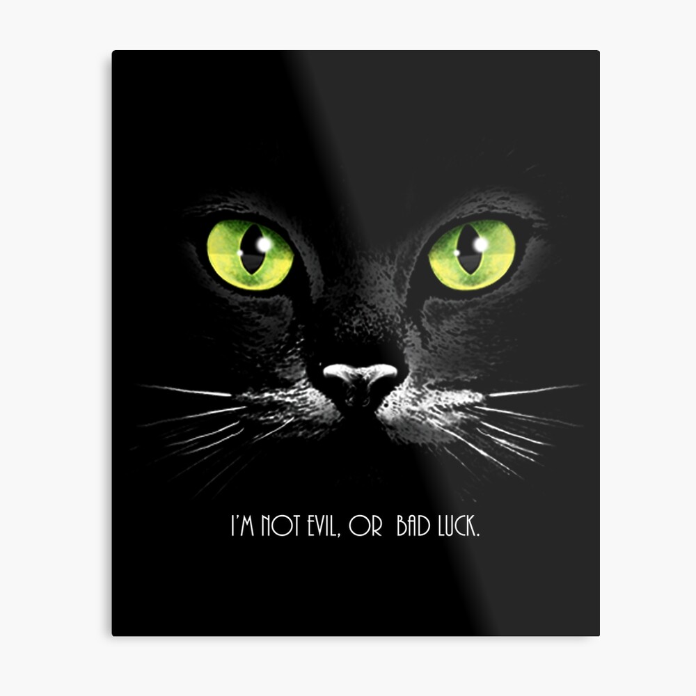 Impression Sur Toile Chat Noir Aux Yeux Verts Je Ne Suis Pas Mal Ou Malchanceux Par Kleynard Redbubble