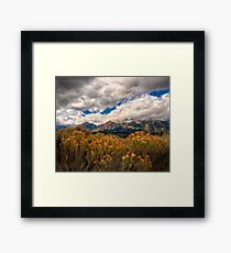 Wild Flowers and Teton Mountains III Framed Print